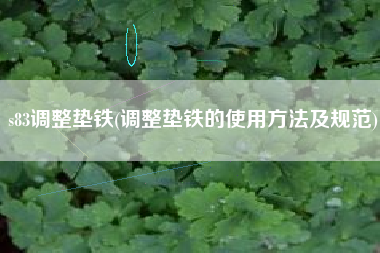 s83<a href='http://www.zzzjbkc.com/jichuangdiantiexilie/' target='_blank' title='調(diào)整墊鐵' ><strong>調(diào)整墊鐵</strong></a>(調(diào)整墊鐵的使用方法及規(guī)范)